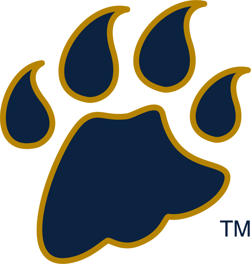 Quinnipiac Bobcats 2002-2017 Secondary Logo v4 diy DTF decal sticker